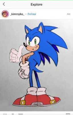 sonic x hybrid princess reader