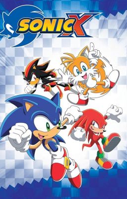 SONIC X MULTIVERSALES