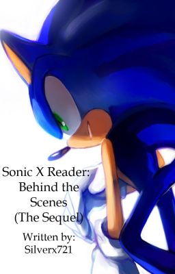 Sonic X Reader; Behind the Scenes (The Sequel)