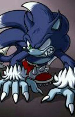 Sonic X Reader My Handsome Werehog