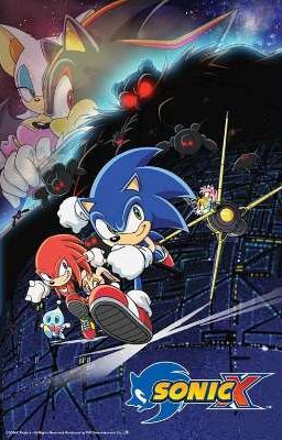 Sonic X x Male Reader