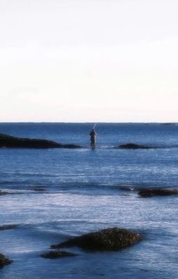 sonknegav | đa nghi