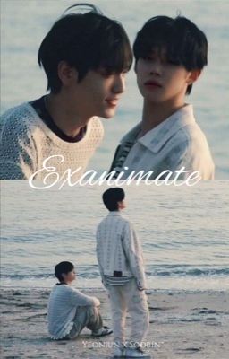 [ Soojun ] Exanimate