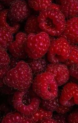 soojun ✧ raspberry