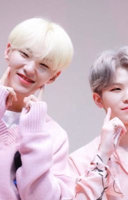 [ Soonhoon ] Bảo Bảo sẽ cạp chết lão bà tương lai của anh :>