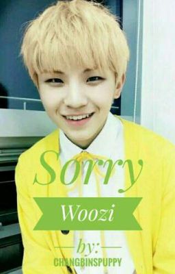 Sorry [17 Woozi OneShot]