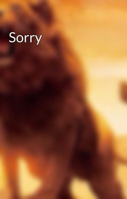 Sorry