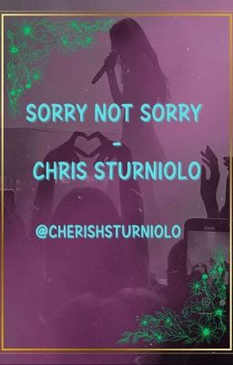 sorry not sorry. c.sturniolo fanfic 