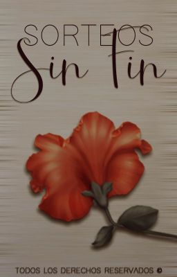 •SORTEOS SIN FIN•