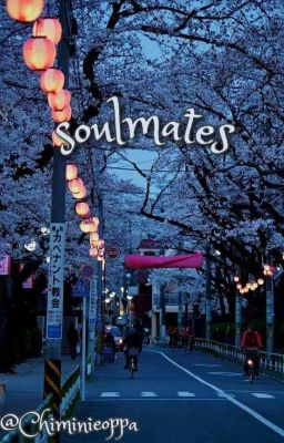 Soulmates (Jikook)