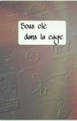 Sous clé dans la cage 