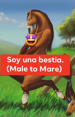 Soy Una Bestia ( Male To Mare). 