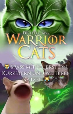 😹Spass mit Feuerstern, Kurzstern und weiteren Katzen😹