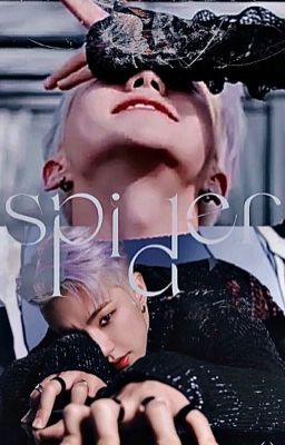 spider | hoshi + s.coups