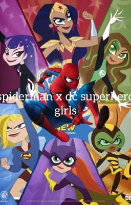 spiderman x dc superhero girl