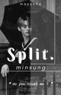 SPLIT.  ーminsung