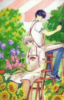 spring flowers (yukito × touya)