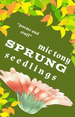 Sprung Seedlings