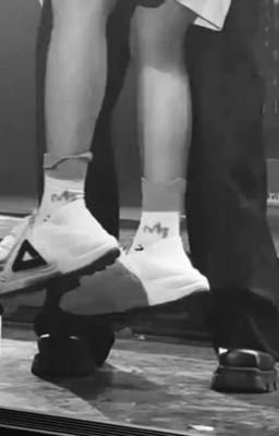 [ST x Neko] Đừng qua lối đó