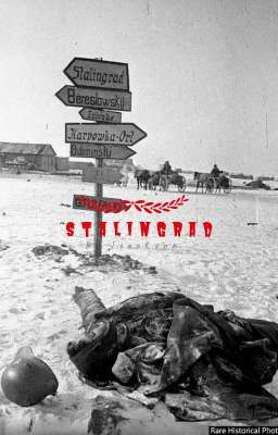 Stalingrad 