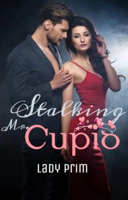 Stalking Mr. Cupid (DA series Book 2)