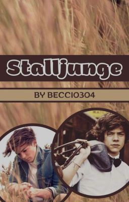 Stalljunge (Larry Shortstory)