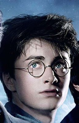 Stammbaum des Harry Potter Universum 