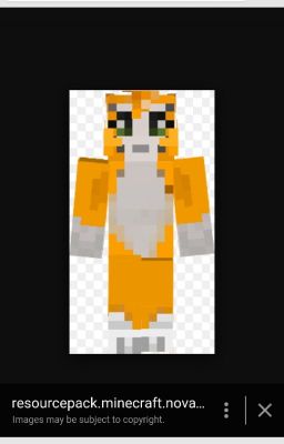 Stampy and Filly