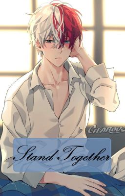 Stand Together | Female Reader x Shoto Todoroki |