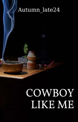 |STANXE| Cowboy like me