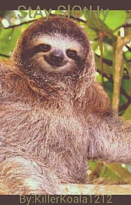 Stay Slothy