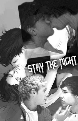 Stay the night (One Direction Fanfiction) Larry Stylinson, Niam Horayne