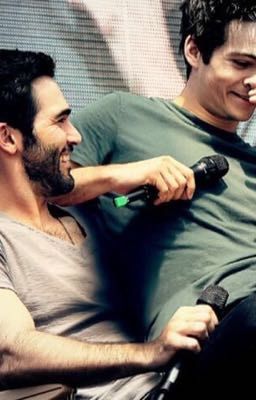 Sterek 