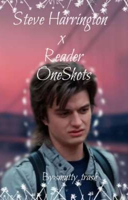 Steve Harrington x Reader (OneShots)