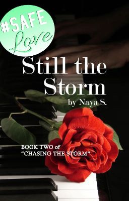 Still the Storm (Chasing the Storm, #2) - PUBLISHED