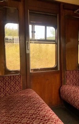 StingNat | On The Train