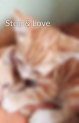 Stop & Love