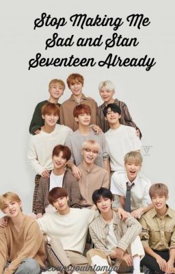 Stop Making Me Sad and Stan Seventeen Already