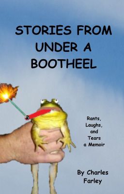 Stories From Under A Bootheel (Rants, Laughs, and Tears)