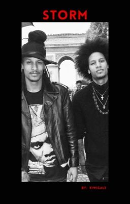 💜STORM💜 (Les Twins Fanfic)