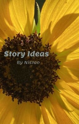 Story Ideas 