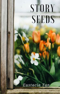 Story Seeds