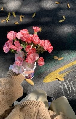 [strangelow] trở về