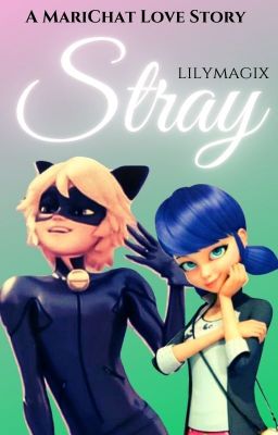 Stray ~ A MariChat Love Story (Complete)