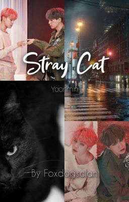 Stray Cat|YoonMin✔️