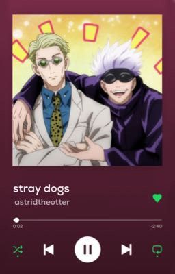 Stray Dogs