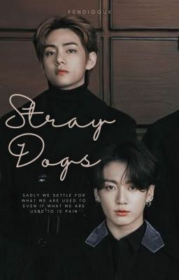 STRAY DOGS | VKOOK