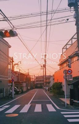 Stray Idiots || changlix&minsung