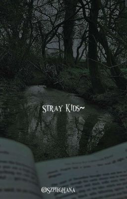 Stray Kids~