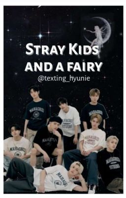 stray kids and a Fairy